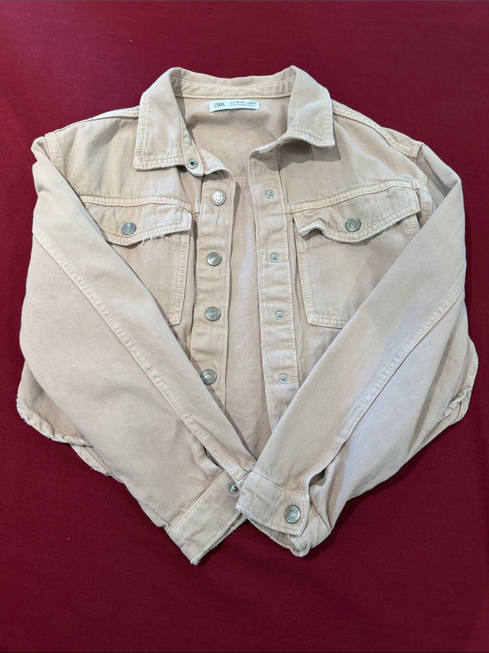 Zara Light Pink Button-Up Jean Jacket